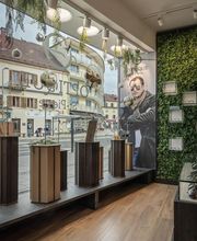 Optique Saint Pierre SAS image 8