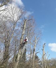 Bouillard Pascal image 3