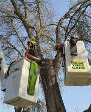 Southern Oregon Tree Care LLC image 16