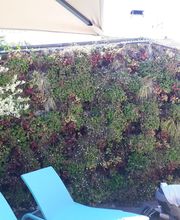 Sylvain Environnement 2 image 2