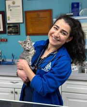 Paumanok Veterinary Hospital image 14