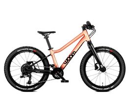 Velo Glauser GmbH Bild 3