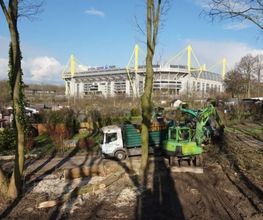 Baumdienst Breuker GbR Bild 2