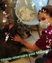 ReferVet Loire image 7