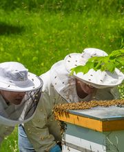 Autumn Morning Farm Beekeeping Supplies image 1