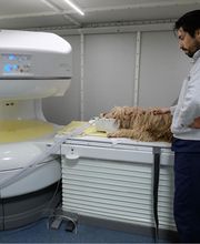 Ospedale Veterinario San Francesco immagine 6