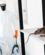 NOCIBILIS Désinfection Sàrl Bild 13