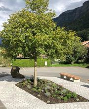 Garten Ideal GmbH Bild 14