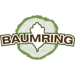 Baumpflege Baumring