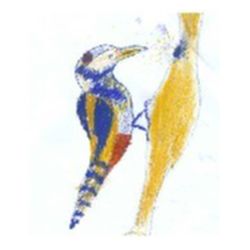 Tagesgruppe Buntspecht e.V. logo