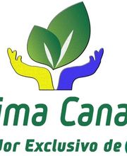 Domingo Mario Jerez Alamo imagen 1