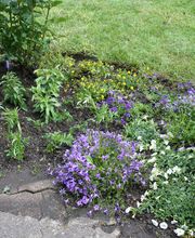 Patric Gartenbau Bild 2