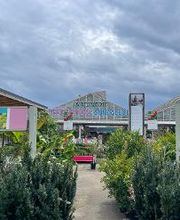 Villaverde Dijon image 2