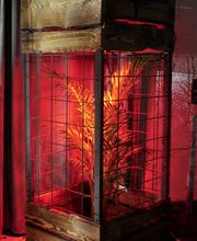 Käfig Palme LED-Beleuchtung Eventdekoration.JPG