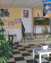 Fourgeaud Catherine image 1