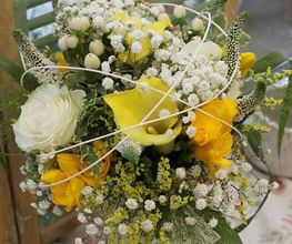 Blumen Baccara Ingolstadt Bild 9
