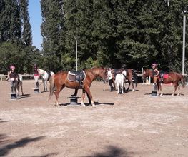 Centre Equestre Le Parc image 1