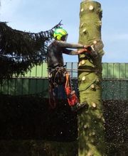 Dehaye Espaces Verts image 7