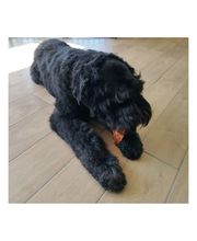 Baker Street image 8