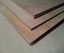 2575942-2-in7GfClnOP1640176326832.jpeg