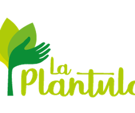 Biocoop La Plantula image 4