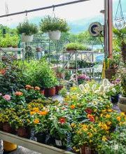 Centre Agro Courtelary Bild 3