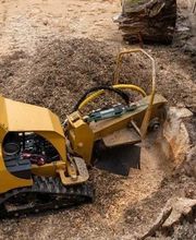 Euro Baumdienst GmbH Bild 6