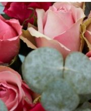 L' Orchidée image 3