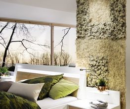 Franzen Moos Wanddesign Bild 2
