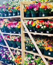 Bricomarché Gattieres image 7