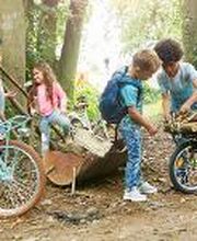 Ari Bike | Fietsenwinkel in Gouda afbeelding 2