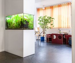 Zahnarztpraxis Schäfer Carsten Bild 5