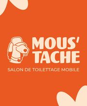 MOUSTACHE Toilettage image 4