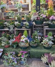 Aux Fleurs Et A Mesure image 1