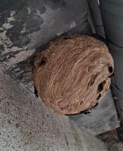 Cible En Vue image 2