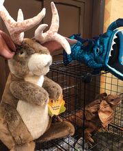 Great Arizona Puppet Theater image 5