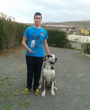 Residencia canina Tarazona imagen 5