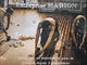 Marion Philippe