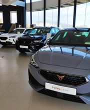 CUPRA M Automoción - Castellón imagen 14