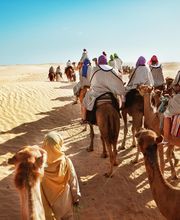 Visages du Monde, Service Groupes et Séminaires à Caen image 6