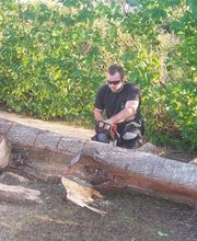 A Fleur d'Ecorce EURL image 6