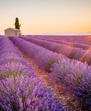 ENVIE D'EVASION - SAINT PAUL TROIS CHATEAUX image 3