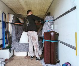 Die Umzugslöwen De Moll Bild 10