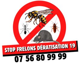 Stop Frelons image 12