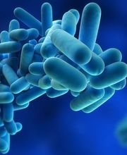 control-legionella.jpg