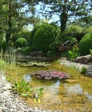 VITA VERDE AG Bild 9