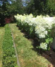 Royal Jardin sarl Bild 14