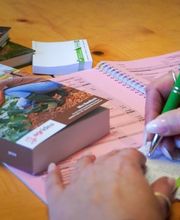 Pegasus Treuhand Urs Vögele Beratungen GmbH Bild 1