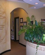 Back In Motion Chiropractic image 2