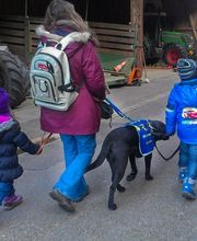 Stiftung Schweizerische Schule für Blindenführhunde Bild 3